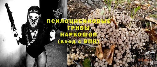 твердый Ижевск