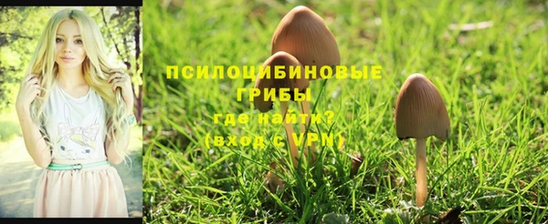 ГАЛЛЮЦИНОГЕННЫЕ ГРИБЫ Покачи