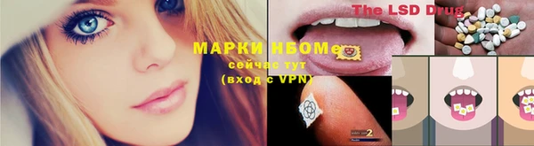 ГАЛЛЮЦИНОГЕННЫЕ ГРИБЫ Покачи