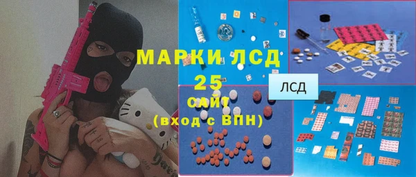 ГАЛЛЮЦИНОГЕННЫЕ ГРИБЫ Покачи